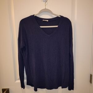 Navy V-Neck Sweater